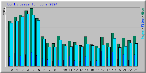 Hourly usage for June 2024