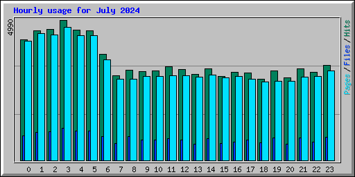 Hourly usage for July 2024