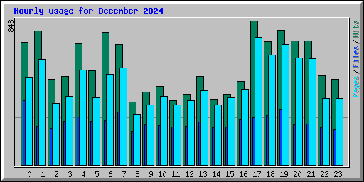 Hourly usage for December 2024