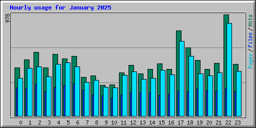 Hourly usage for January 2025