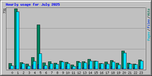 Hourly usage for July 2025