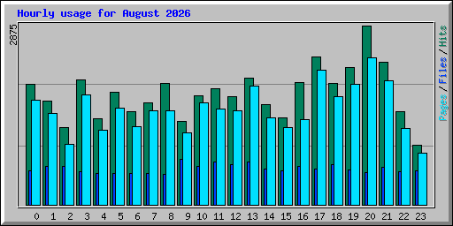 Hourly usage for August 2026