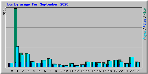 Hourly usage for September 2026