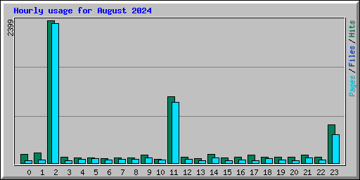 Hourly usage for August 2024