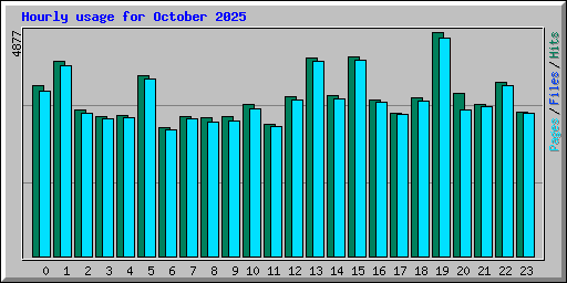 Hourly usage for October 2025