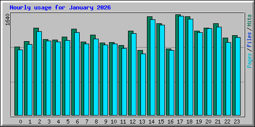Hourly usage for January 2026