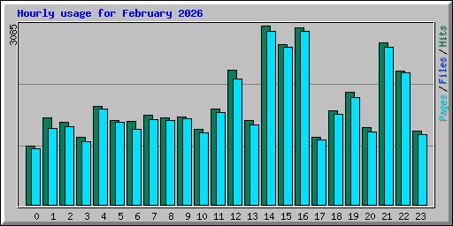 Hourly usage for February 2026