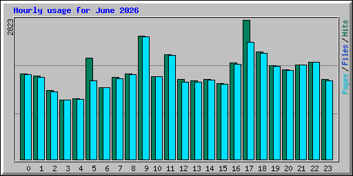 Hourly usage for June 2026